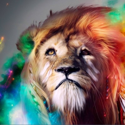 1920 x 1080 HD Wallpapers 1783